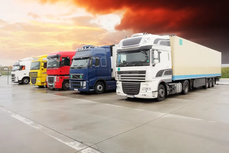 Работа в Польше водителем без опыта